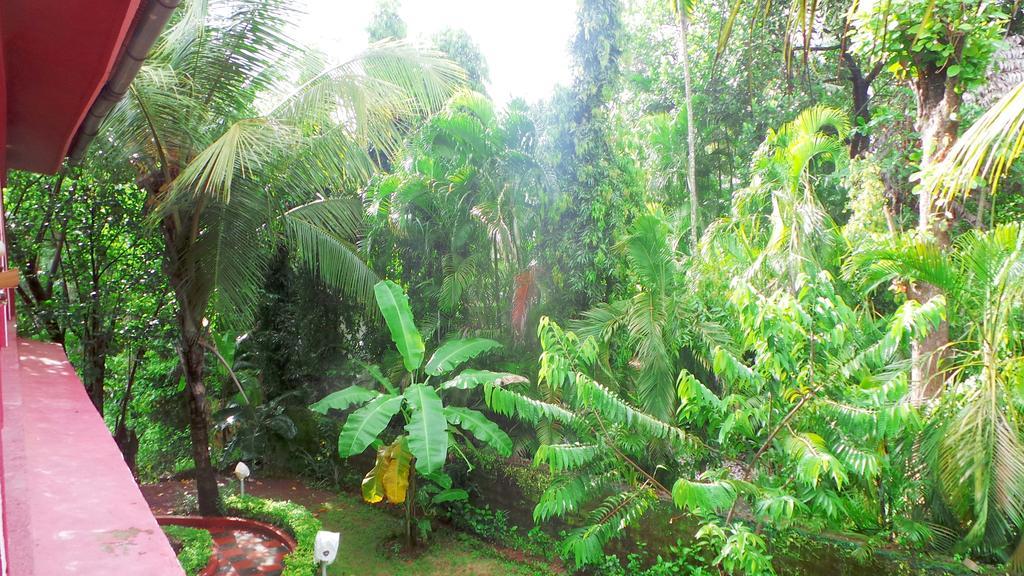 Отель Peter'S Paradise Salcete Экстерьер фото